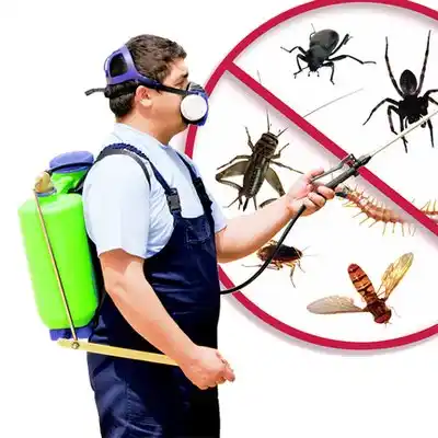 pest control Mount Healthy